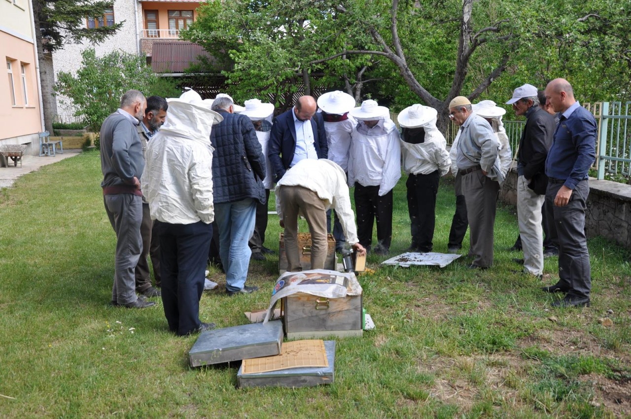 Gümüşhane’de Arı Sütü Üretimi Konulu Uygulamalı Eğitim Yapıldı 4