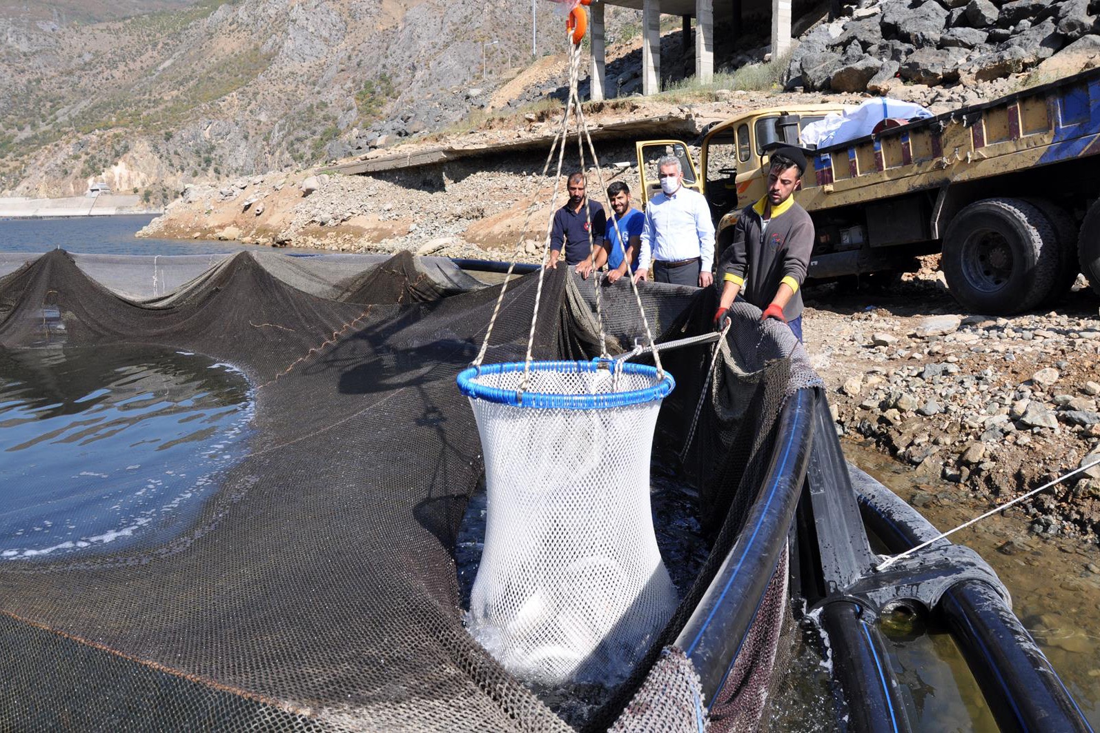 Gümüşhane’de alabalık ve somon hasadı başladı 13