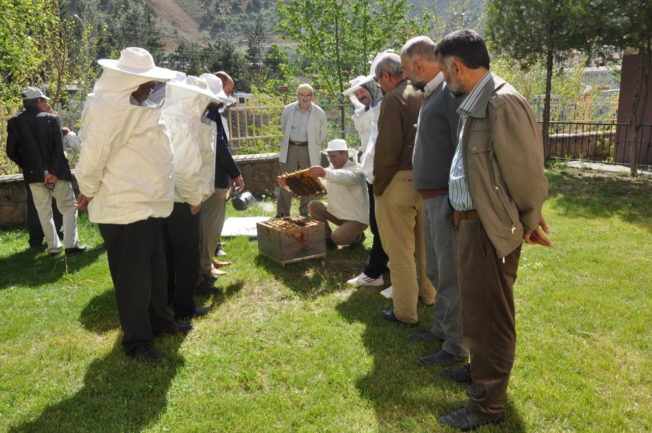 Gümüşhane’de Arı Sütü Üretimi Konulu Uygulamalı Eğitim Yapıldı 6
