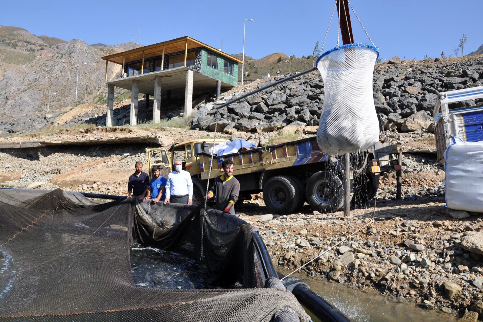 Gümüşhane’de alabalık ve somon hasadı başladı 5