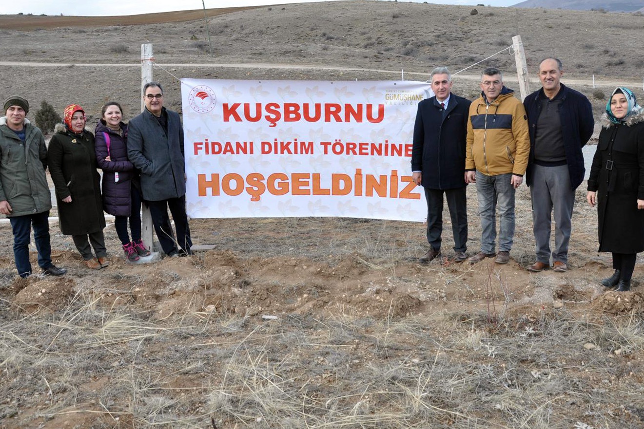 Gümüşhane’nin ilk kapama kuşburnu bahçesi Kelkit’e kuruldu 1
