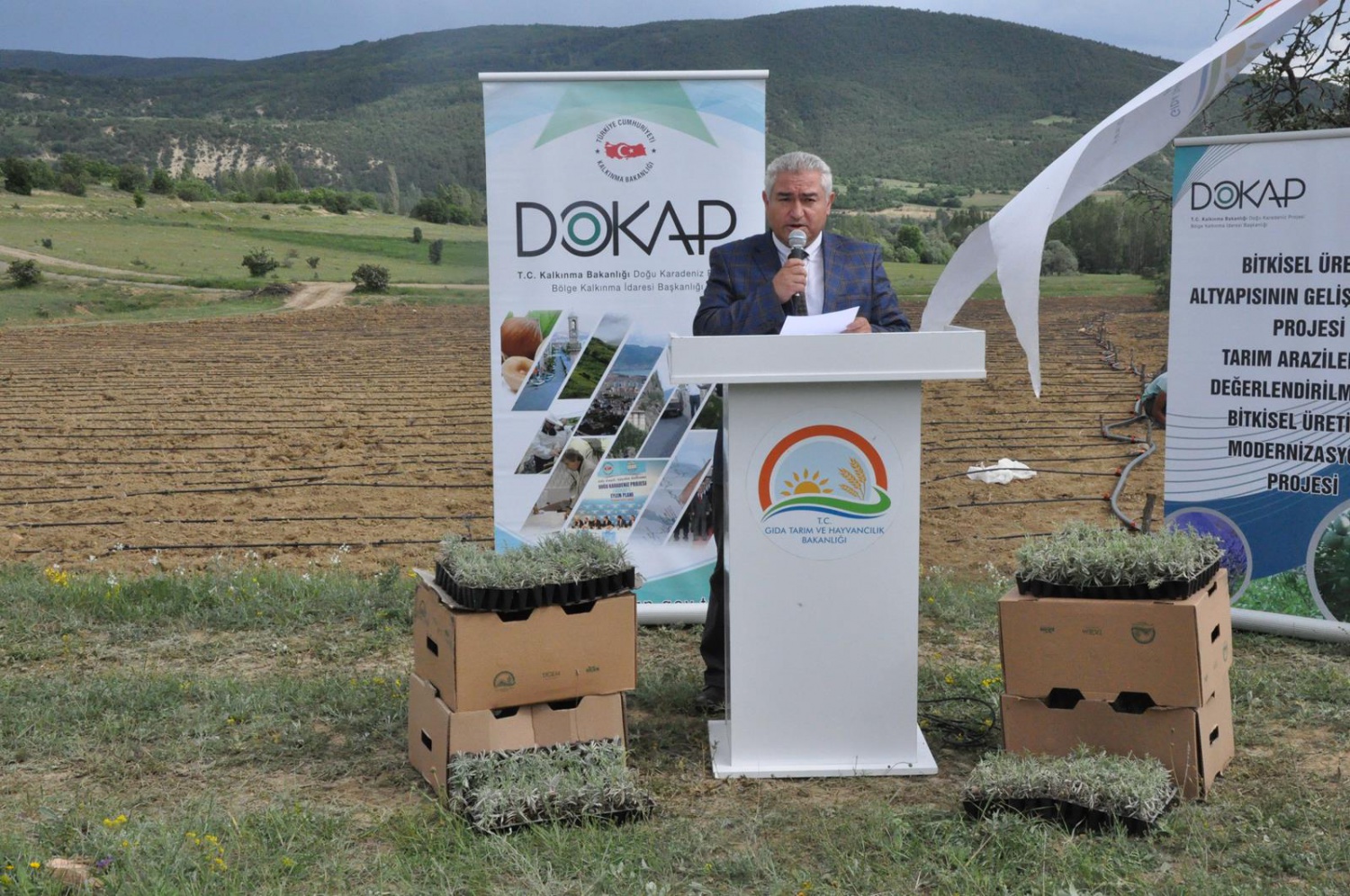 Gümüşhane’de Lavanta Projesi Hayata Geçirildi 14