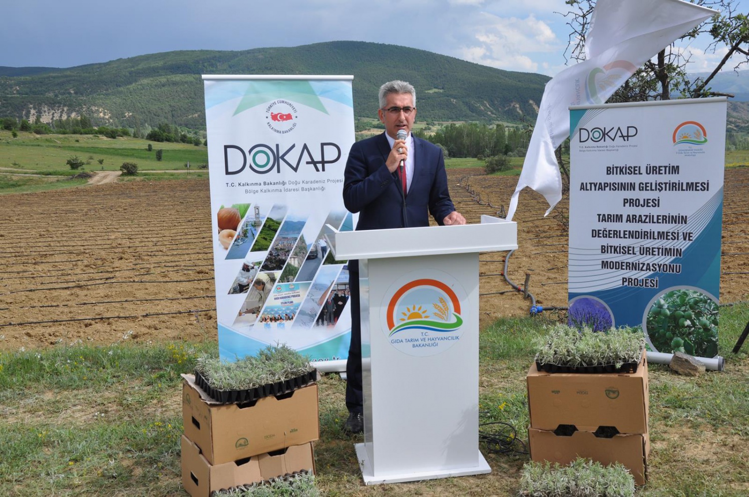 Gümüşhane’de Lavanta Projesi Hayata Geçirildi 8