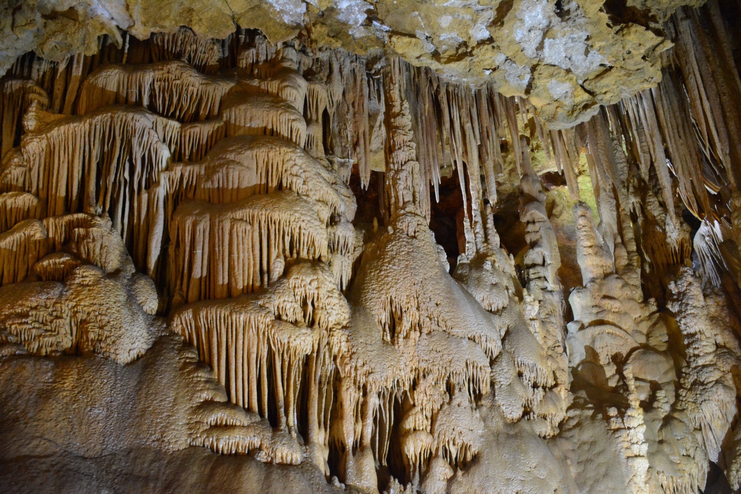 Arap acente sahipleri Gümüşhane’de 11