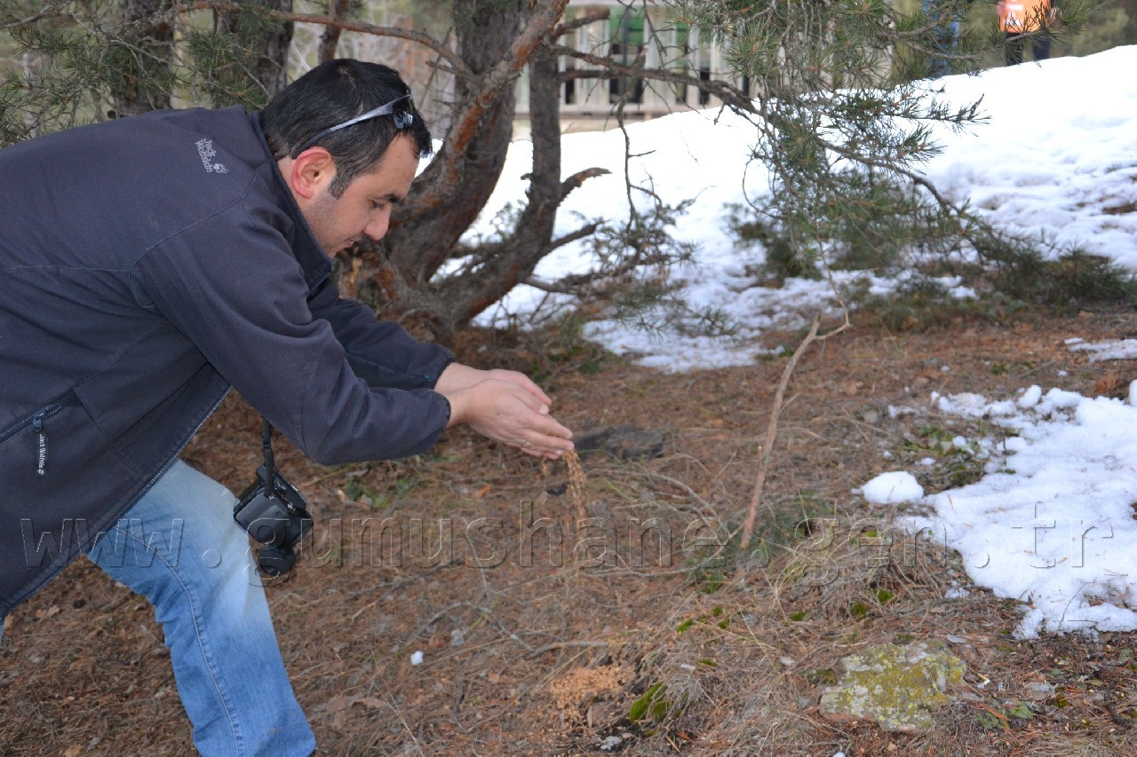 TEMA kuşları yemledi 3