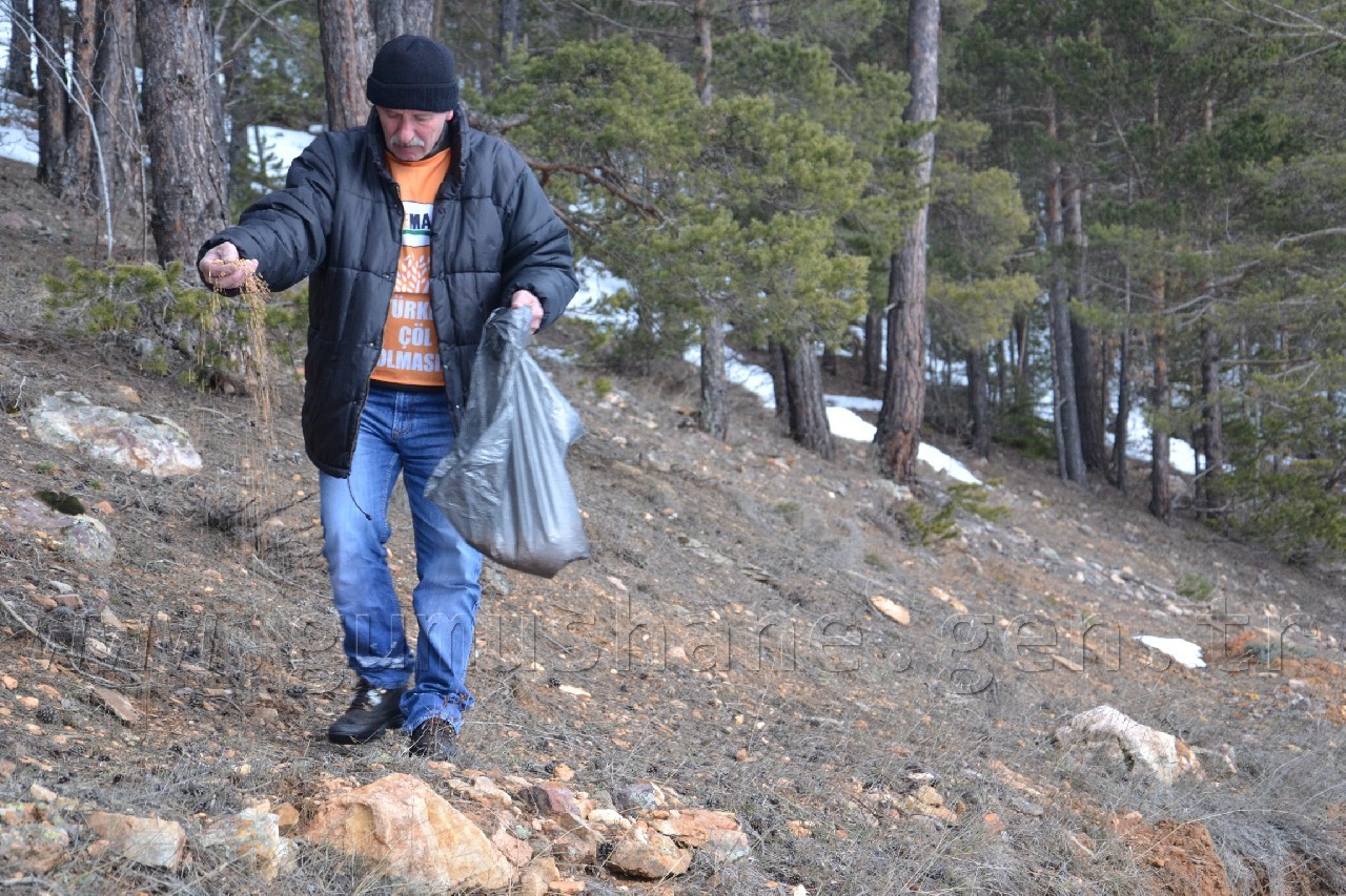 TEMA kuşları yemledi 4