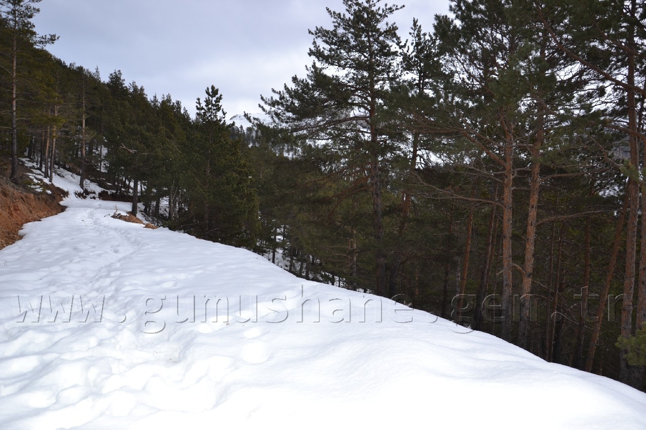 TEMA kuşları yemledi 5