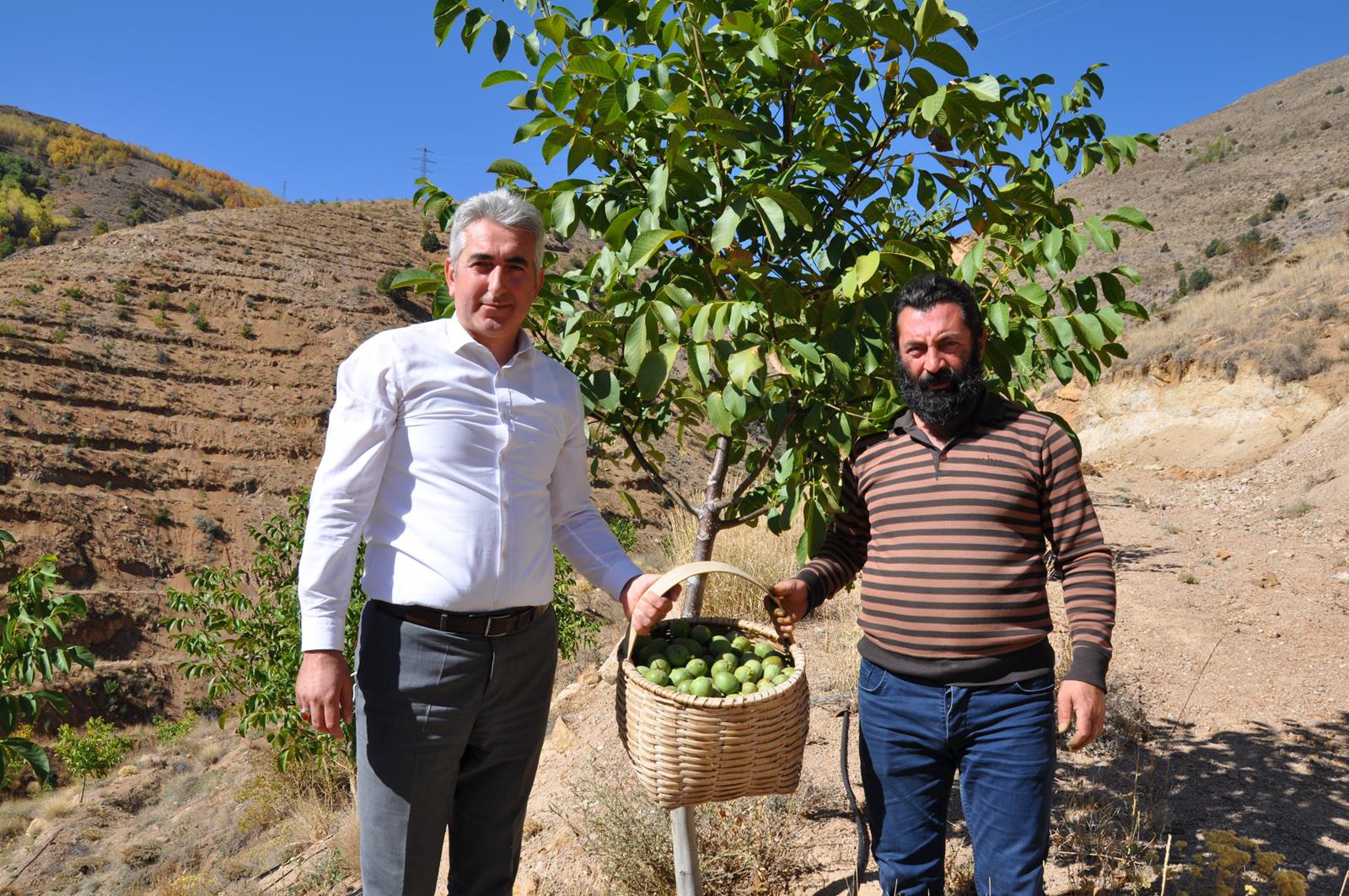 Gümüşhane’de ceviz üretimi yüzde 25 arttı 13