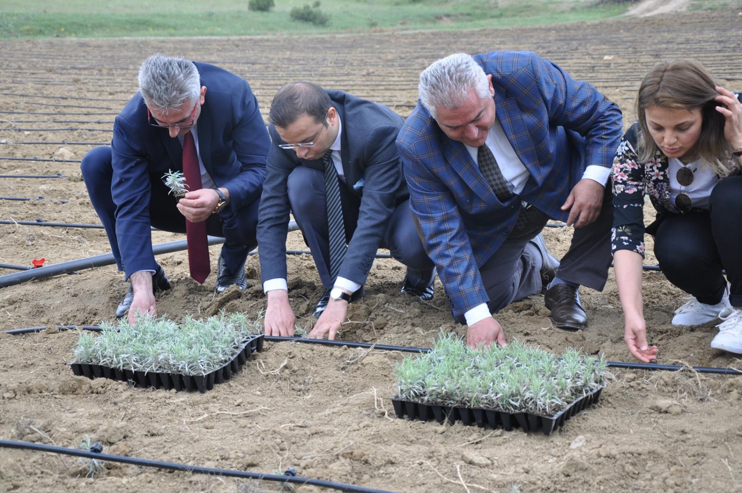 Gümüşhane’de Lavanta Projesi Hayata Geçirildi 10
