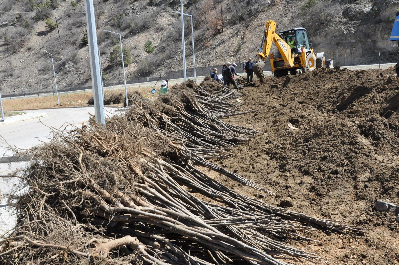 Gümüşhane Ceviz Vadisi olma yolunda ilerliyor 29
