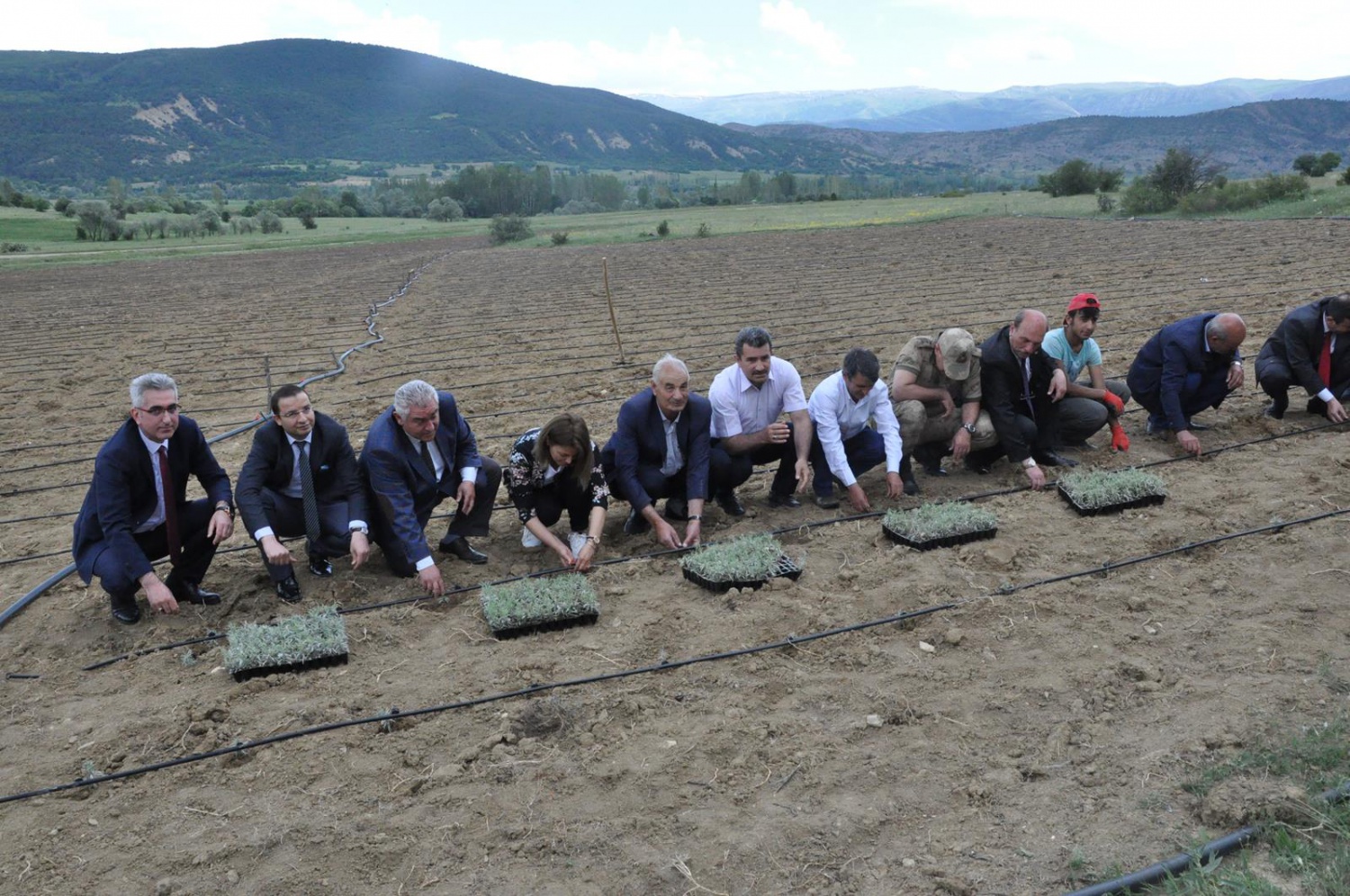 Gümüşhane’de Lavanta Projesi Hayata Geçirildi 15