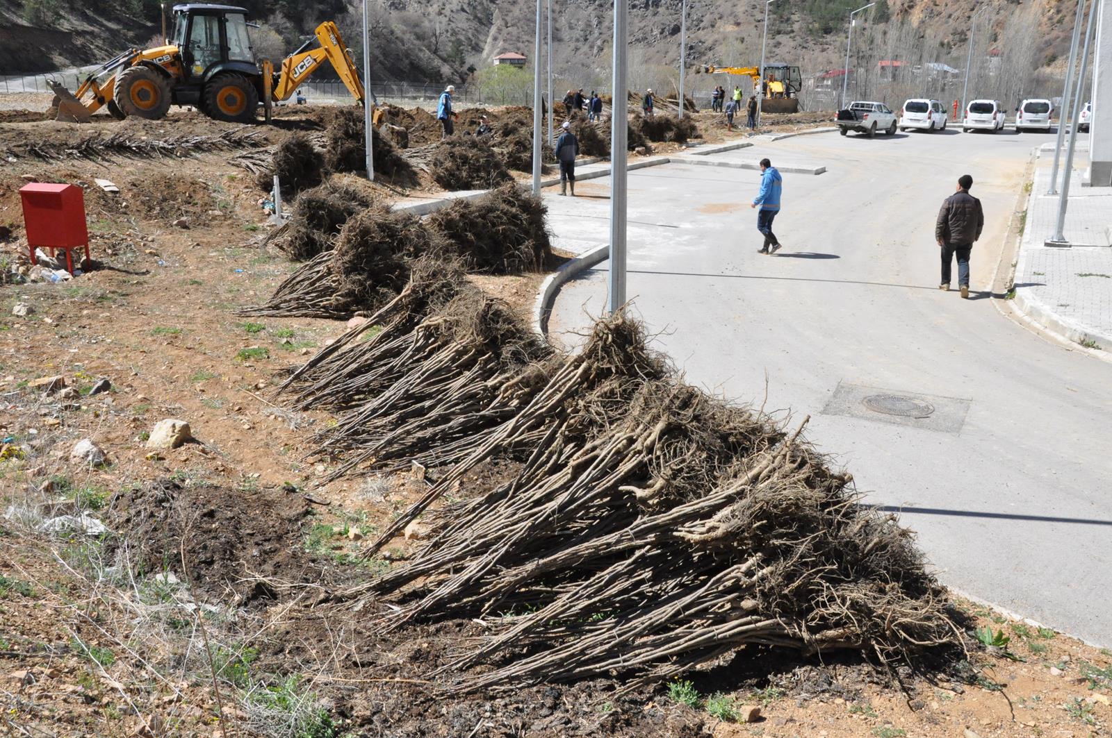 Gümüşhane Ceviz Vadisi olma yolunda ilerliyor 31