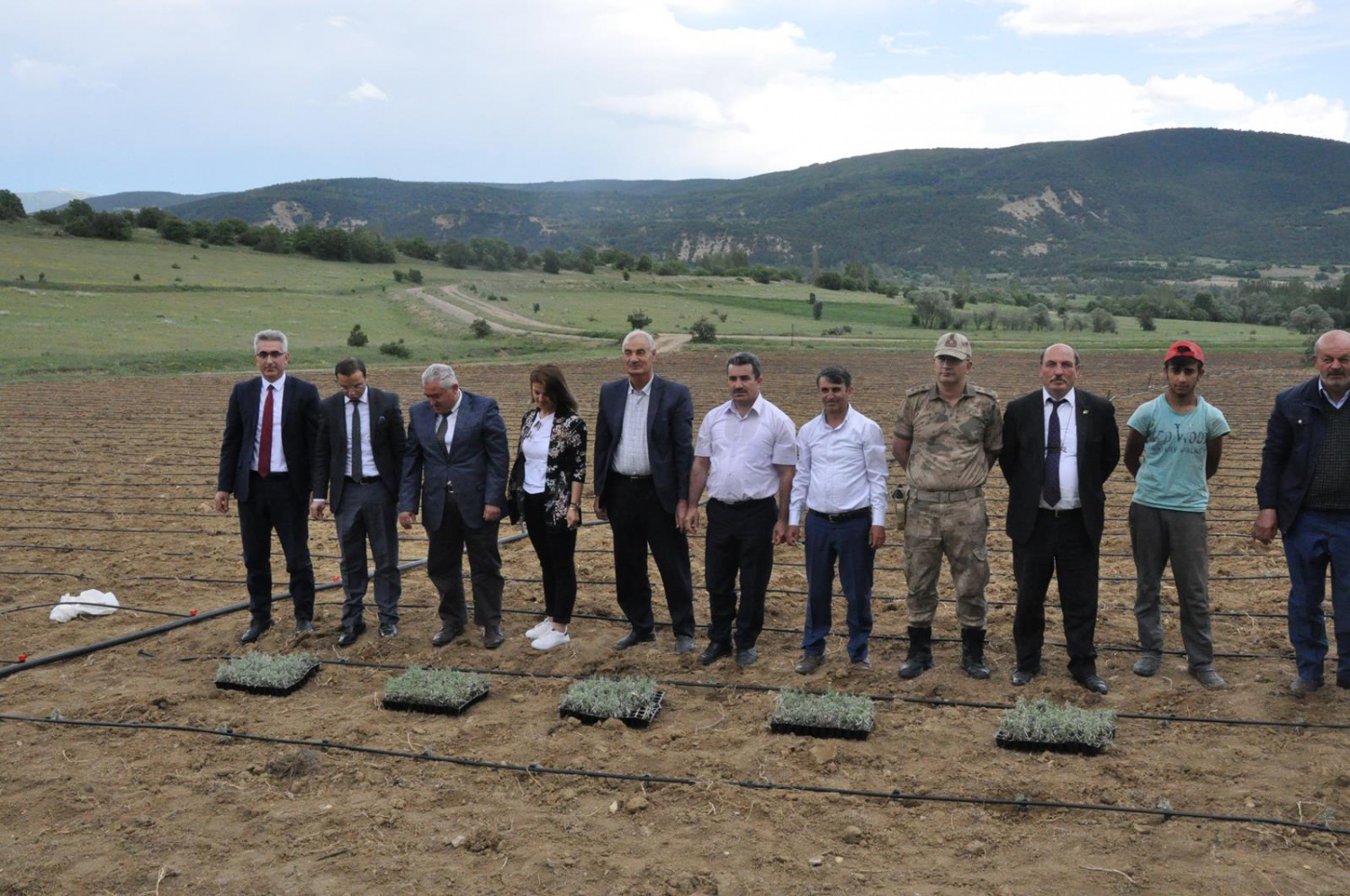 Gümüşhane’de Lavanta Projesi Hayata Geçirildi 13