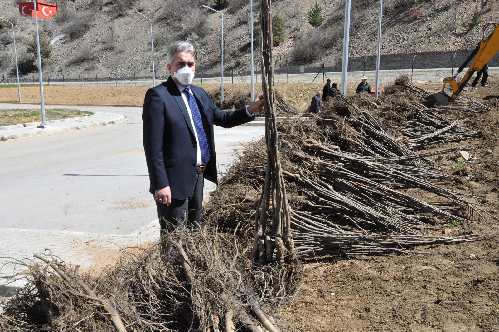 Gümüşhane Ceviz Vadisi olma yolunda ilerliyor 32