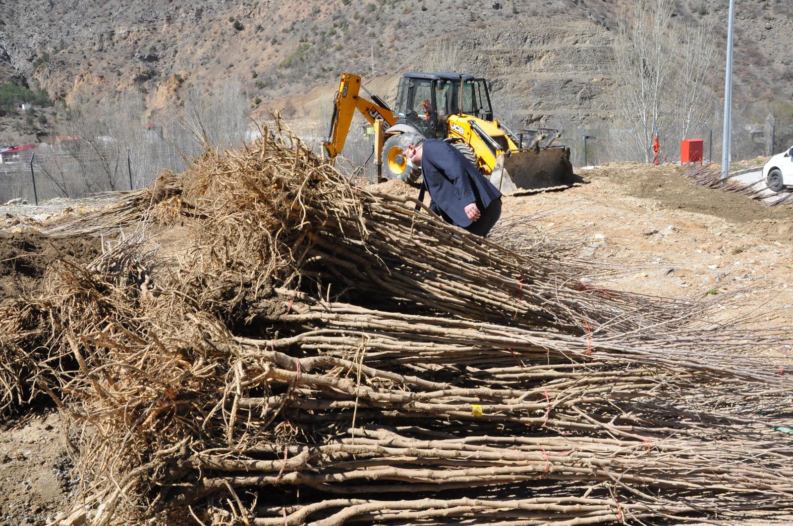 Gümüşhane Ceviz Vadisi olma yolunda ilerliyor 20
