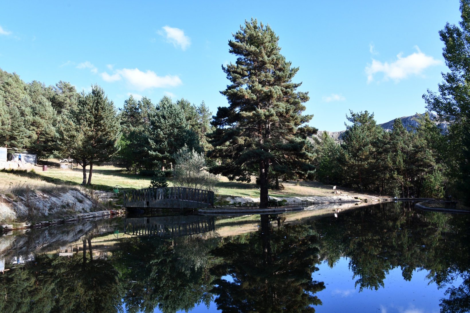 Ve Kent Ormanı yolu asfaltlandı 12