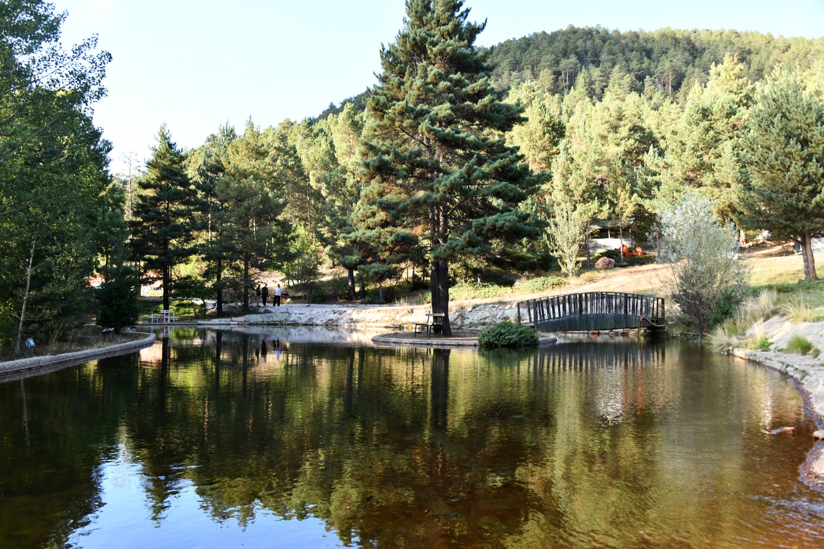 Ve Kent Ormanı yolu asfaltlandı 24