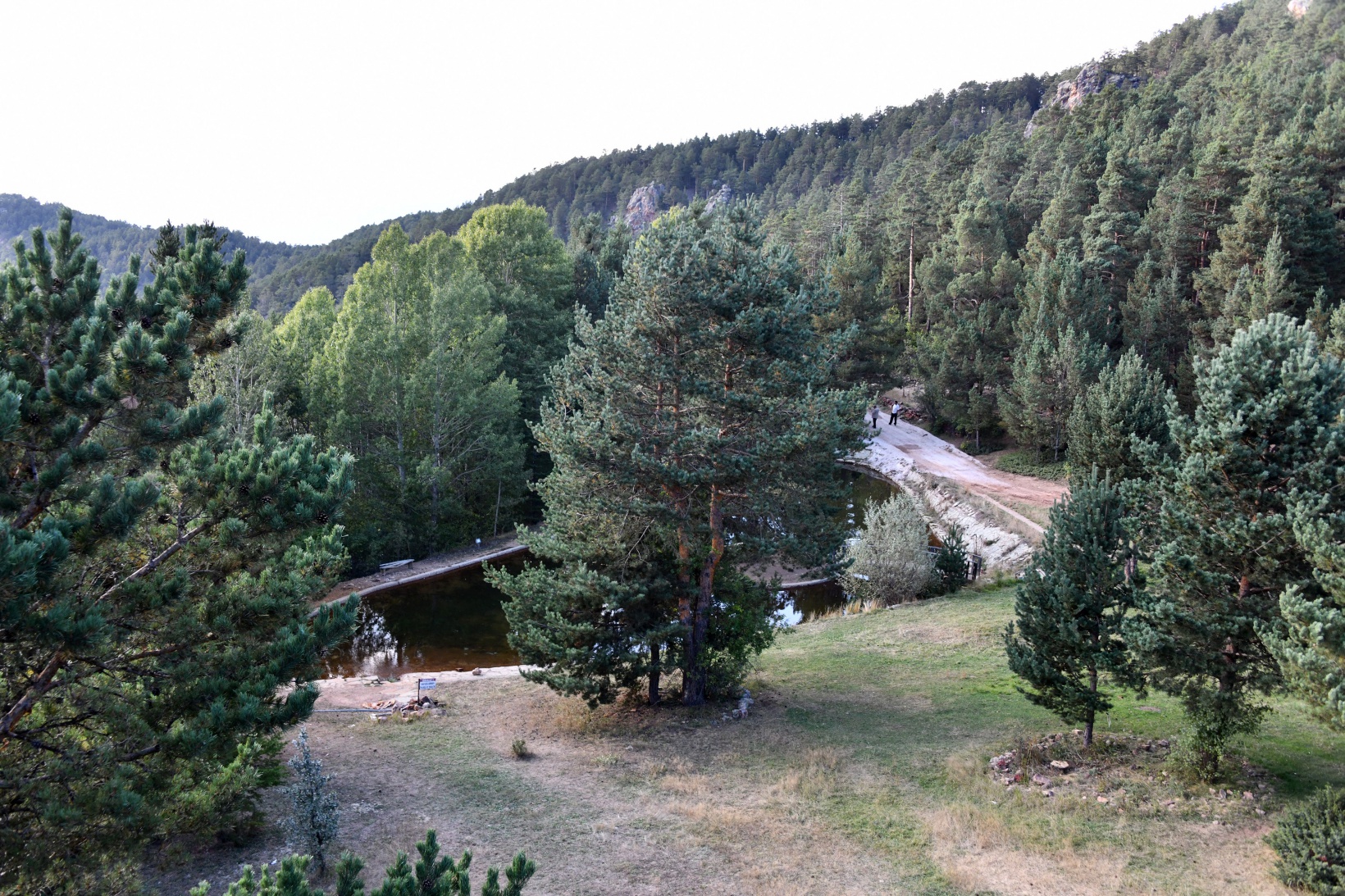Ve Kent Ormanı yolu asfaltlandı 19