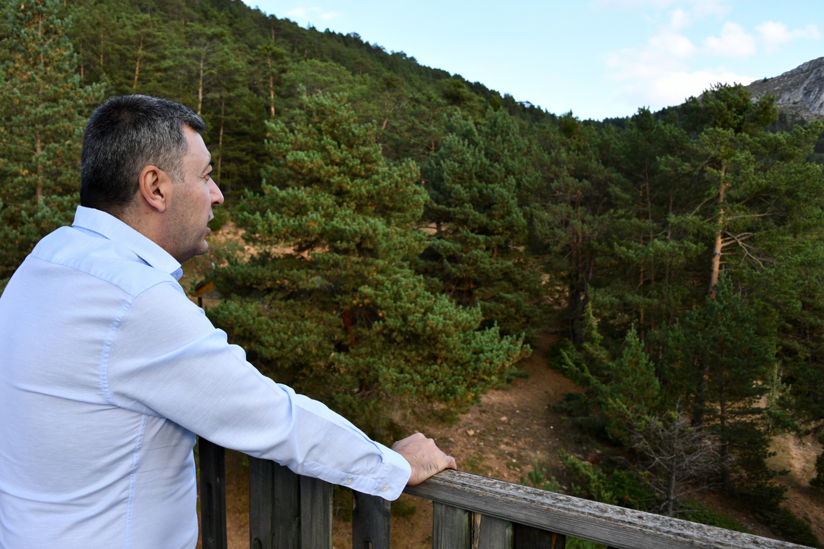 Ve Kent Ormanı yolu asfaltlandı 2