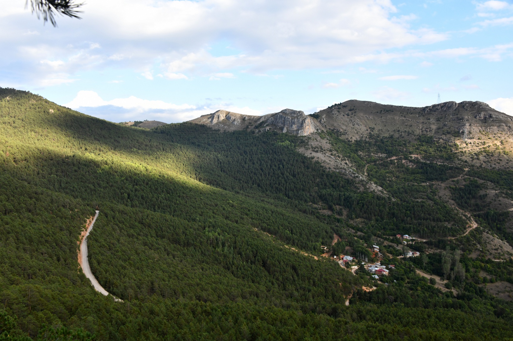 Ve Kent Ormanı yolu asfaltlandı 4