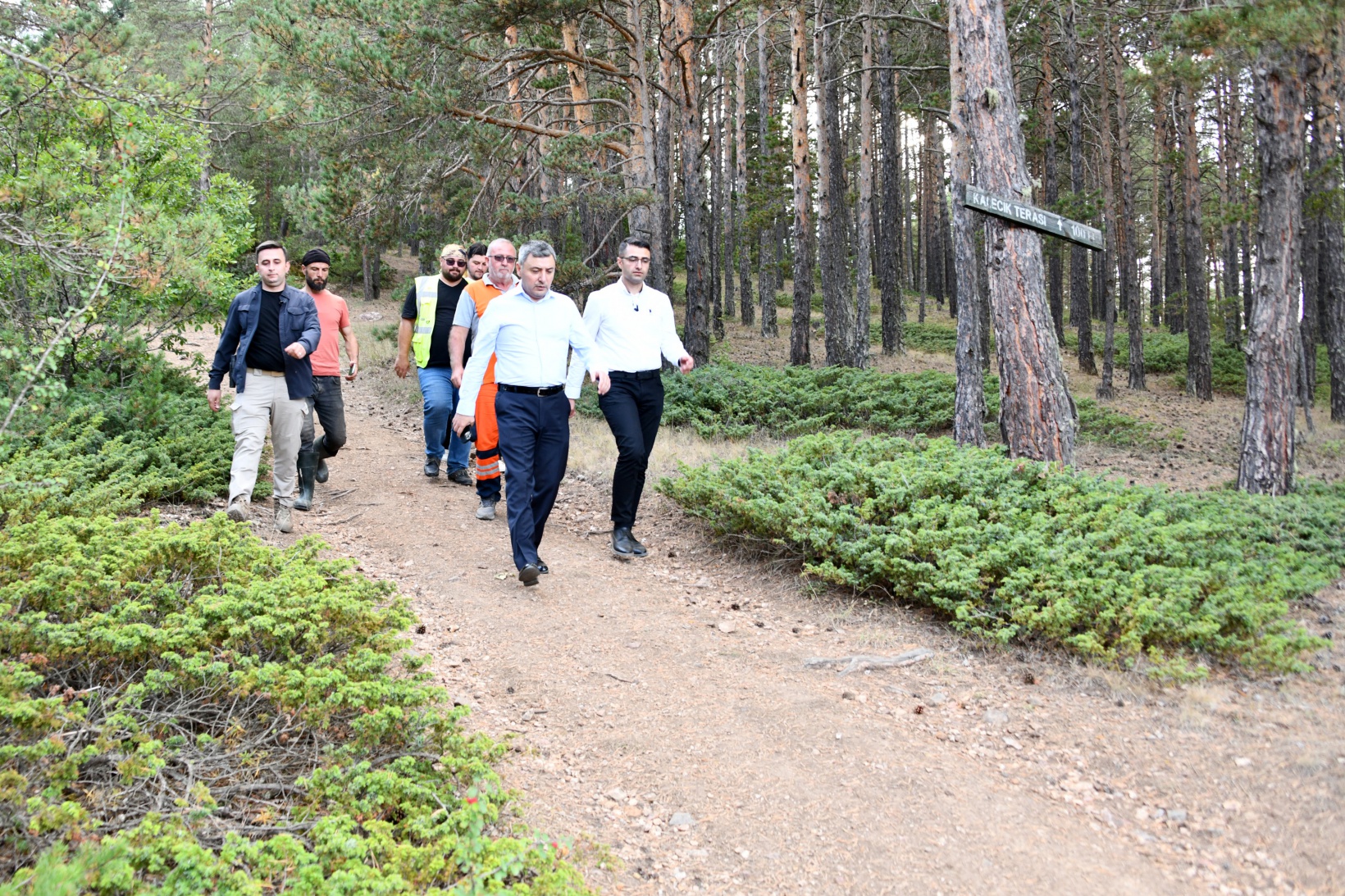 Ve Kent Ormanı yolu asfaltlandı 29