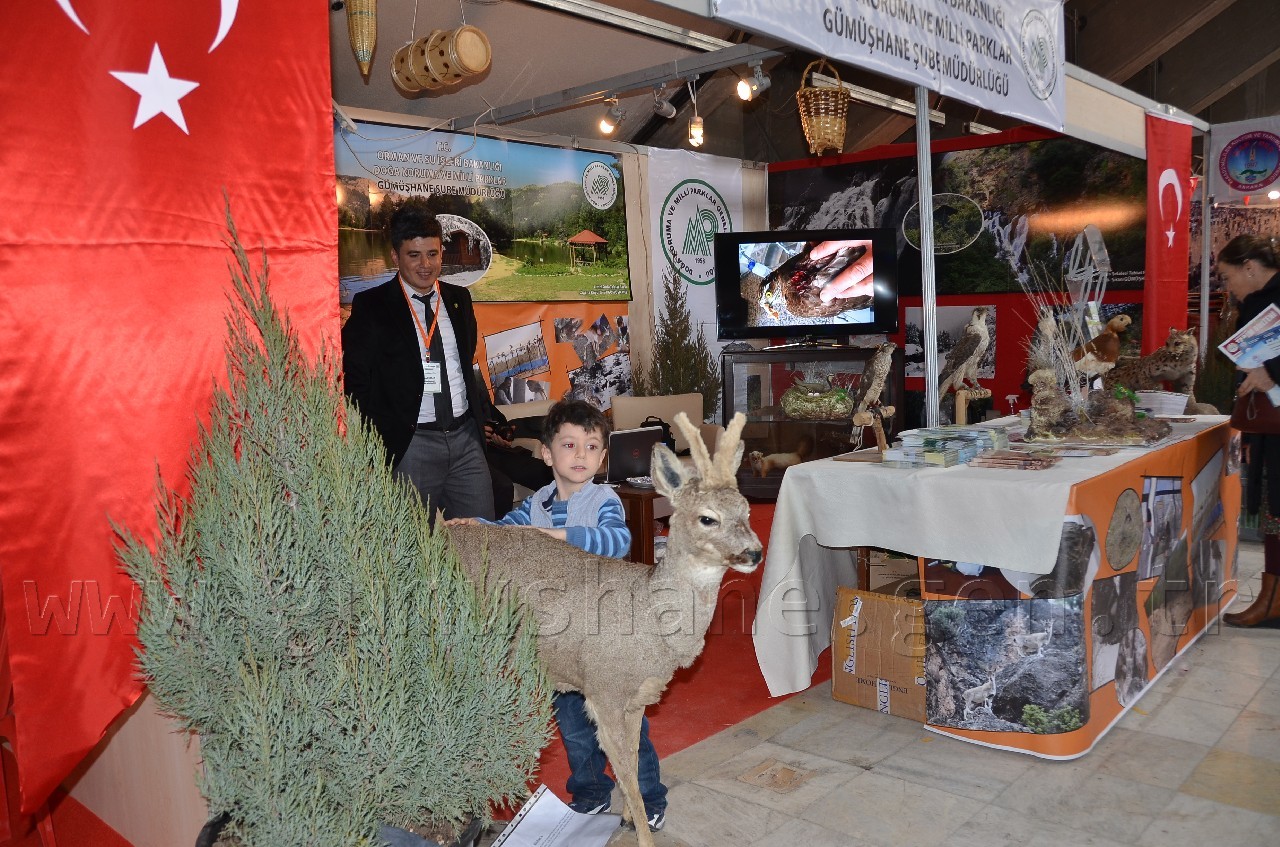 Bakan Yıldız, Ankara Gümüşhane Günlerinde 1