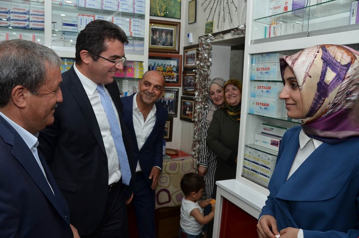 20 yıl sonra Genç’te 60