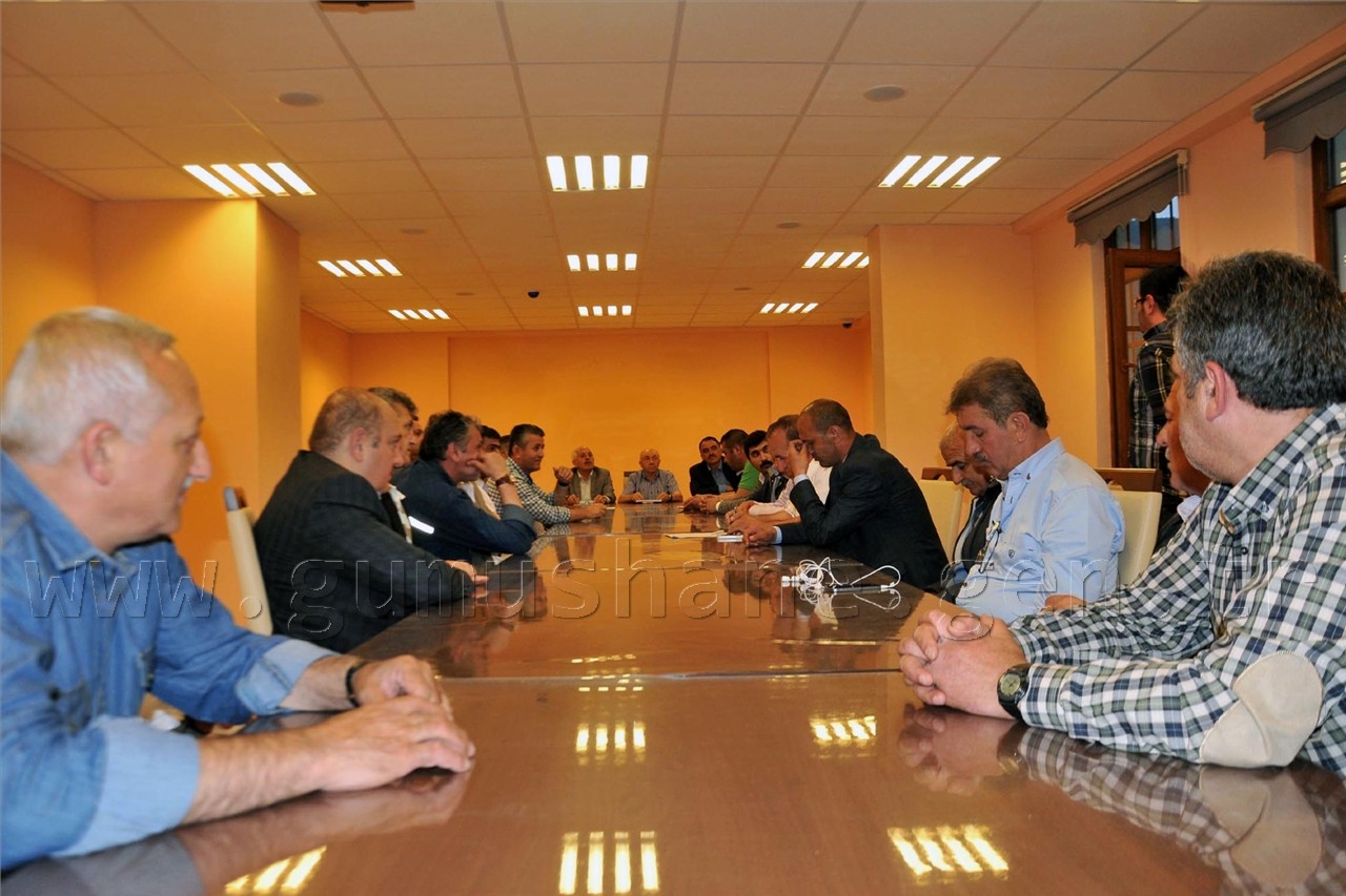 Çimen Güven Tazeledi 2