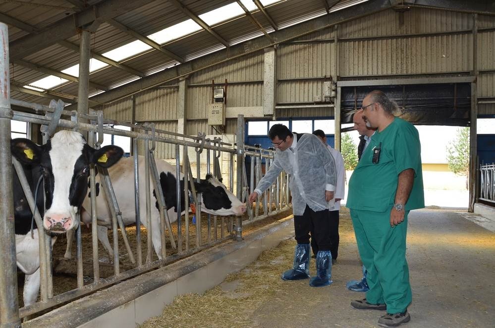 Vali Memiş, Kelkit’te tarımsal tesisleri inceledi 4