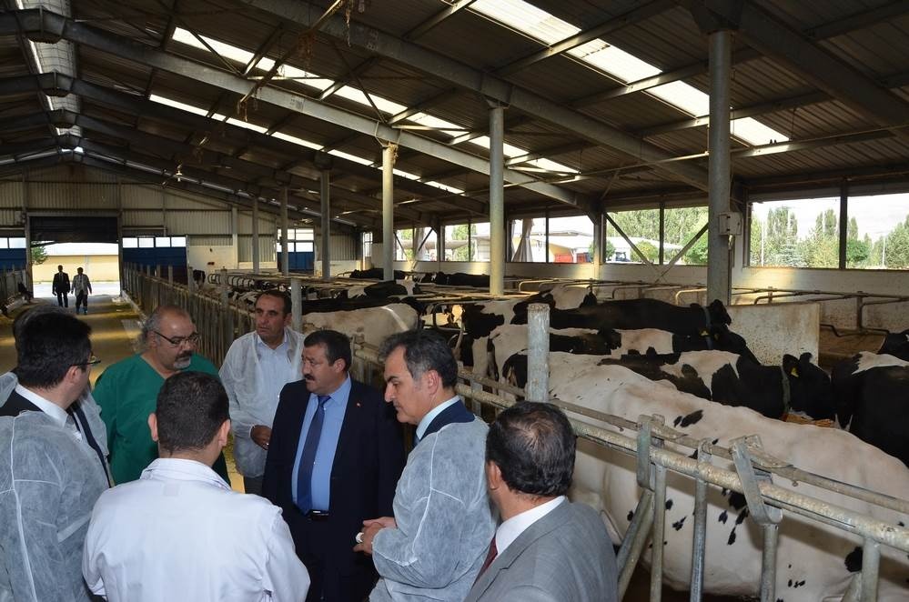 Vali Memiş, Kelkit’te tarımsal tesisleri inceledi 5