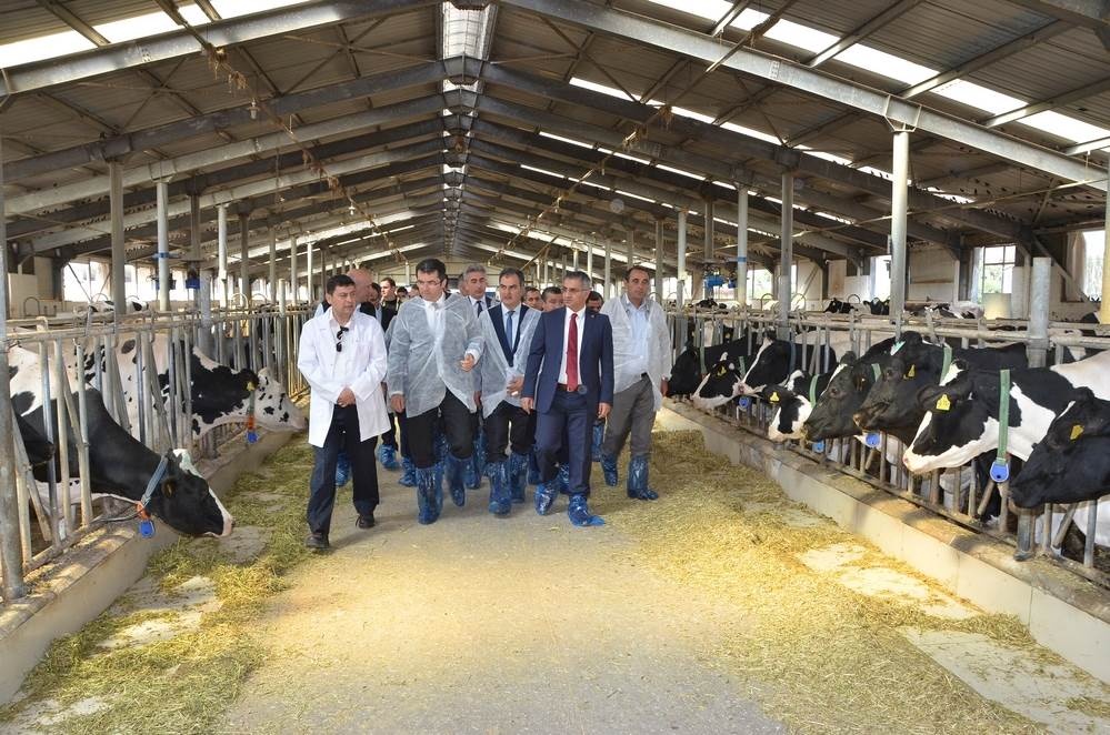 Vali Memiş, Kelkit’te tarımsal tesisleri inceledi 8