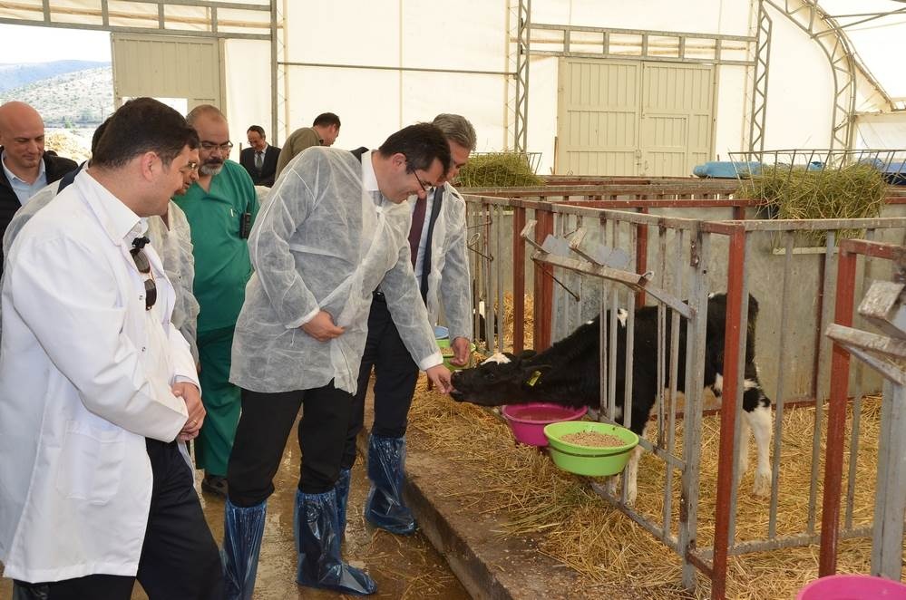 Vali Memiş, Kelkit’te tarımsal tesisleri inceledi 34