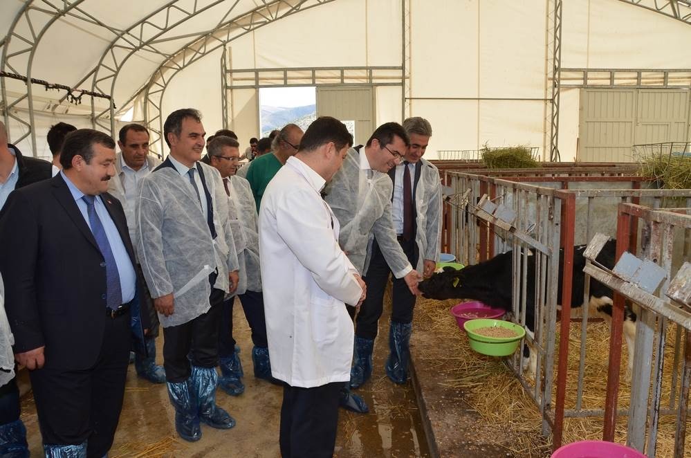 Vali Memiş, Kelkit’te tarımsal tesisleri inceledi 25