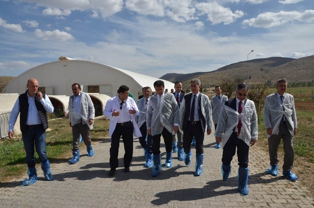 Vali Memiş, Kelkit’te tarımsal tesisleri inceledi 11