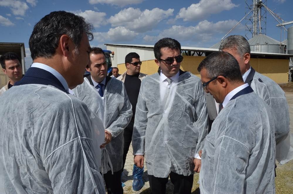 Vali Memiş, Kelkit’te tarımsal tesisleri inceledi 13