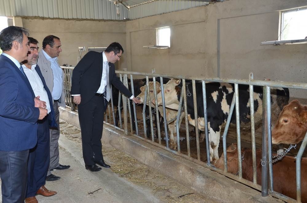 Vali Memiş, Kelkit’te tarımsal tesisleri inceledi 29