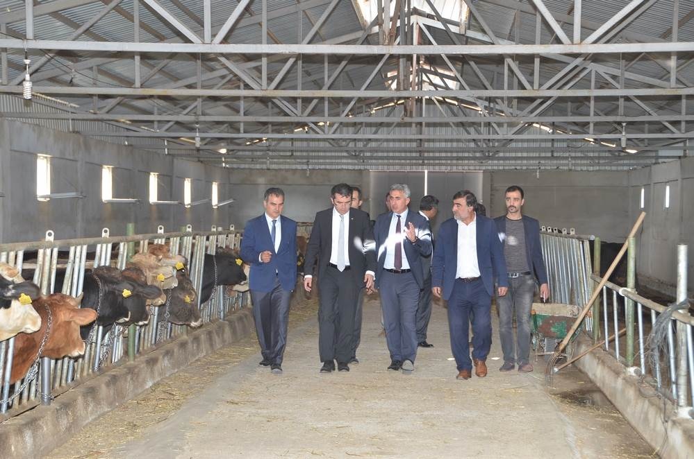 Vali Memiş, Kelkit’te tarımsal tesisleri inceledi 20