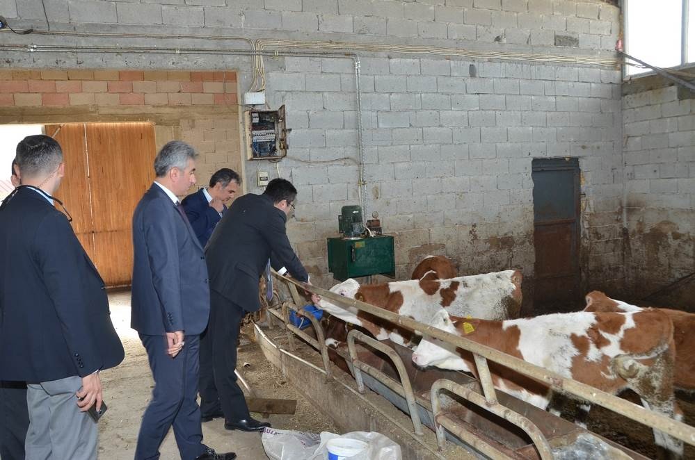 Vali Memiş, Kelkit’te tarımsal tesisleri inceledi 24