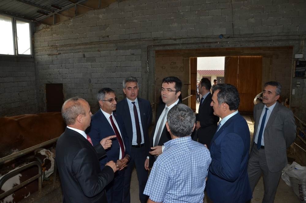 Vali Memiş, Kelkit’te tarımsal tesisleri inceledi 17