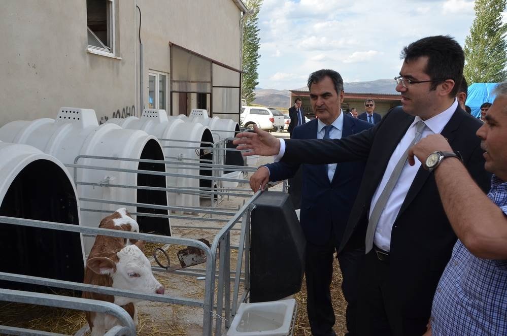 Vali Memiş, Kelkit’te tarımsal tesisleri inceledi 27