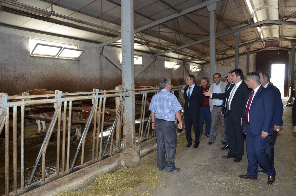 Vali Memiş, Kelkit’te tarımsal tesisleri inceledi 19