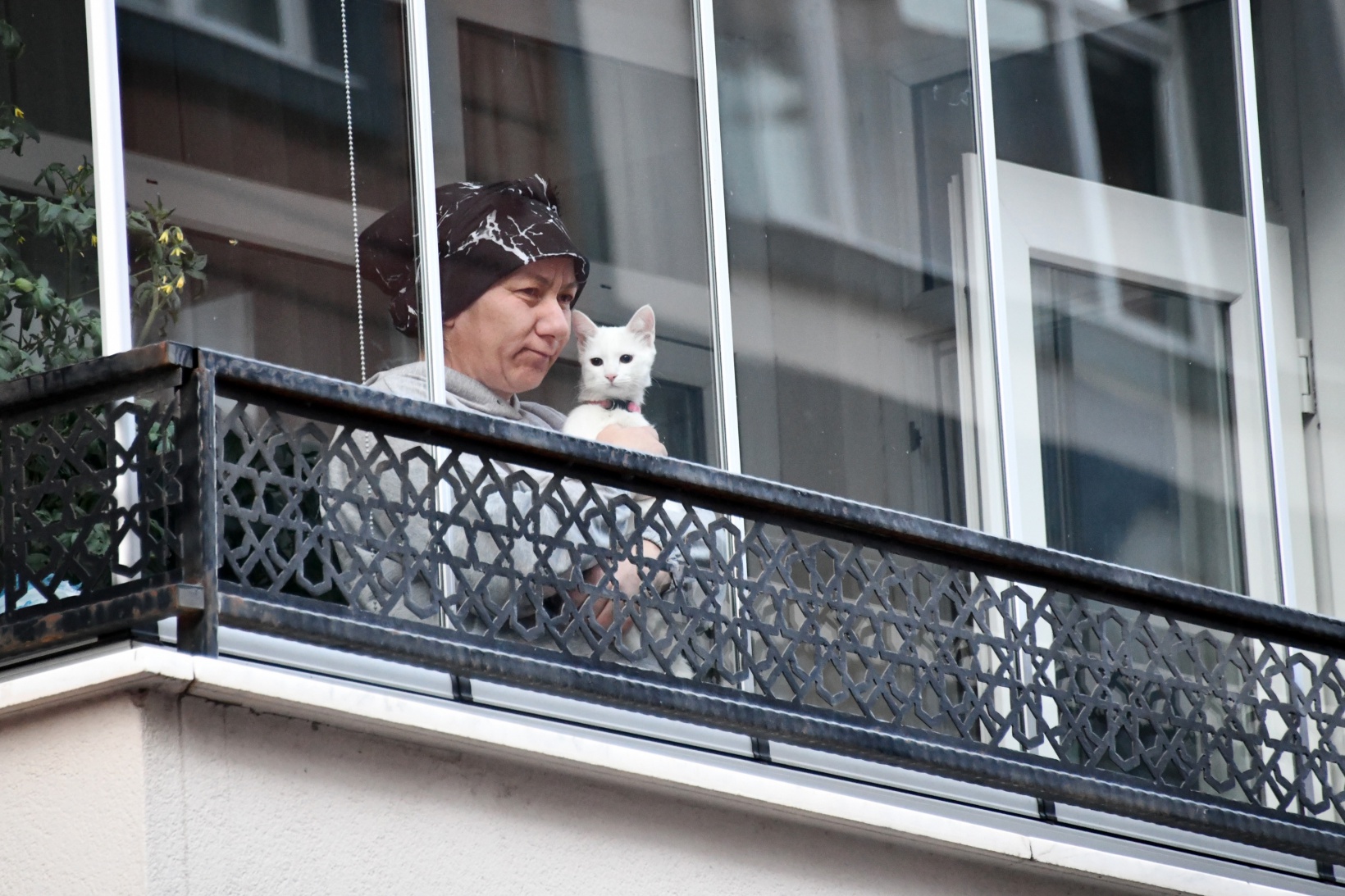 Gümüşhane'de 27. Kuşburnu Festivali başladı   36