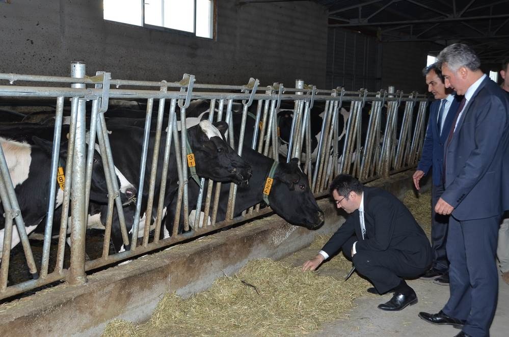 Vali Memiş, Kelkit’te tarımsal tesisleri inceledi 22