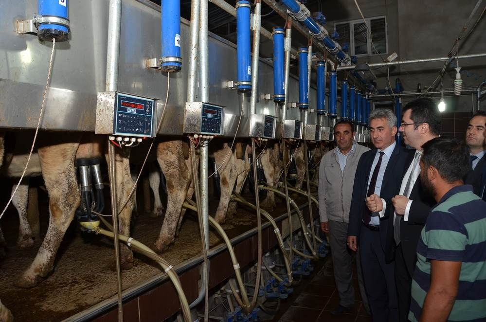 Vali Memiş, Kelkit’te tarımsal tesisleri inceledi 32