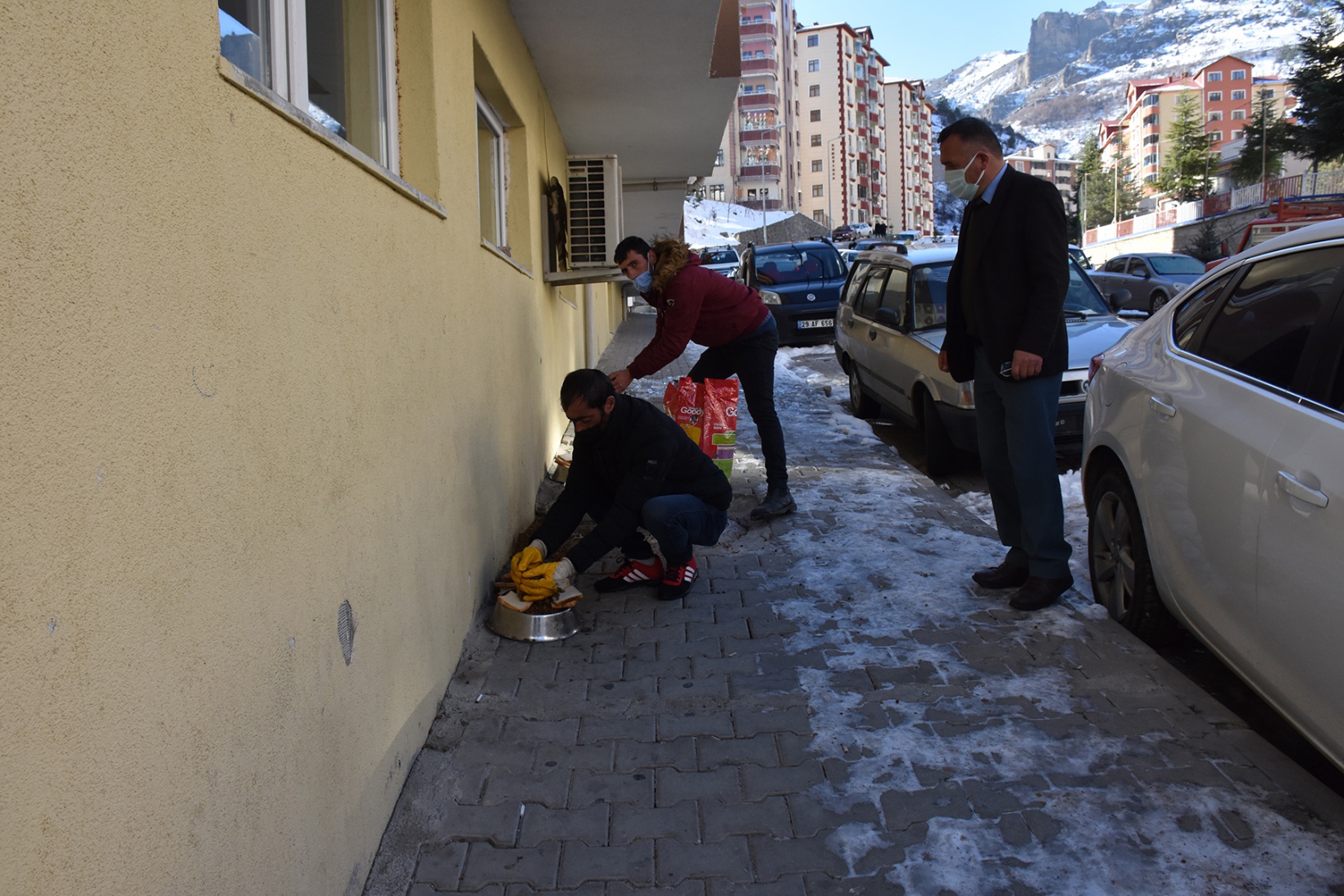 Gümüşhane Belediyesi sokak hayvanlarını unutmadı 2