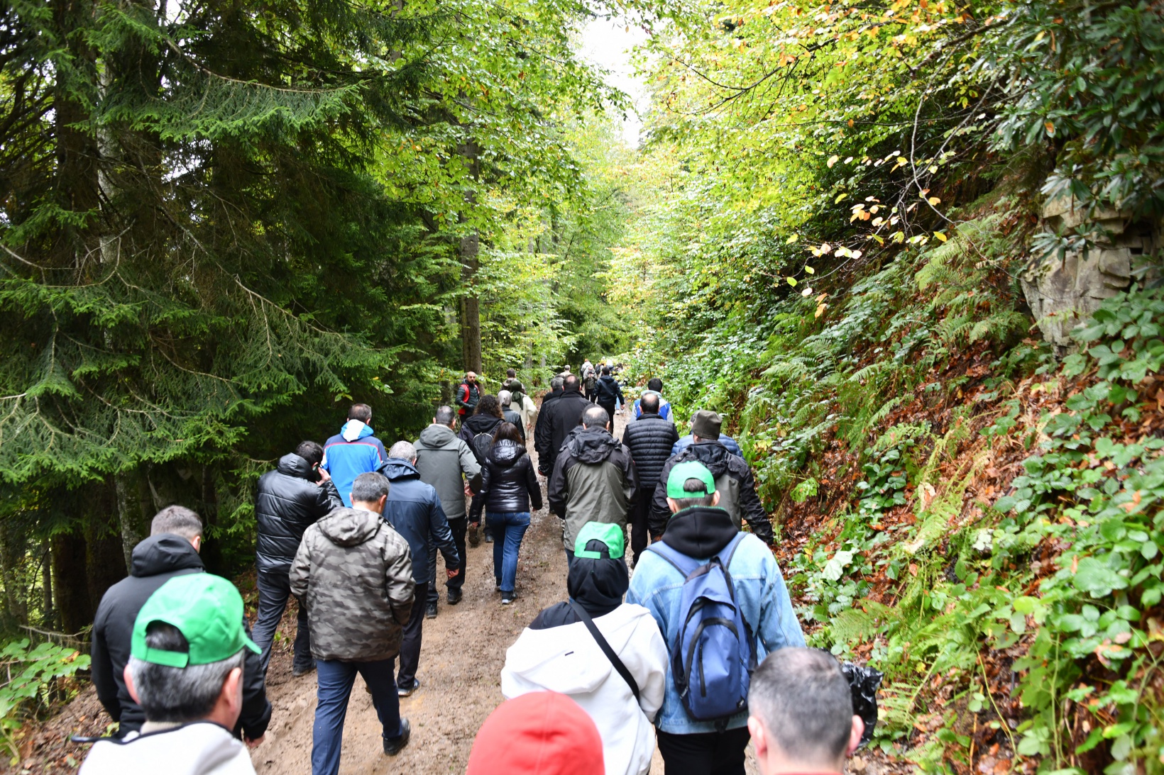 Örümcek Ormanlarında "Ormanlar İçin El Ele" etkinliği yapıldı 20