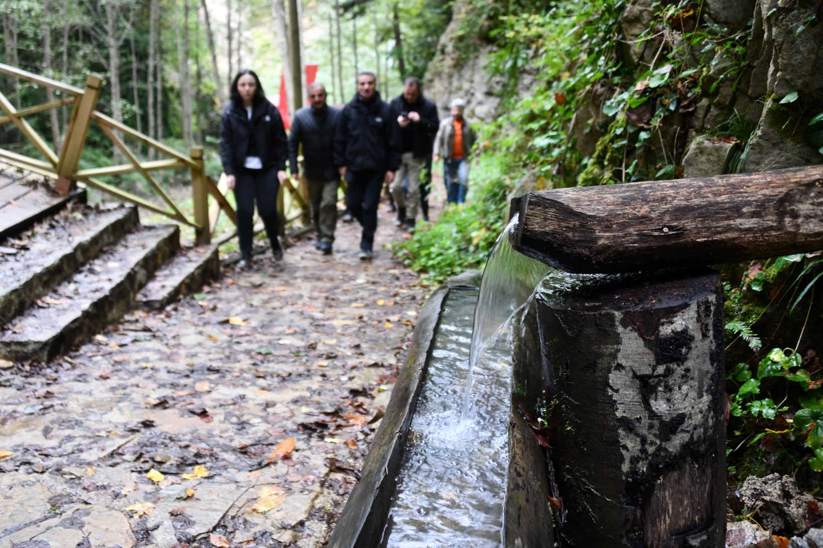 Örümcek Ormanlarında "Ormanlar İçin El Ele" etkinliği yapıldı 5