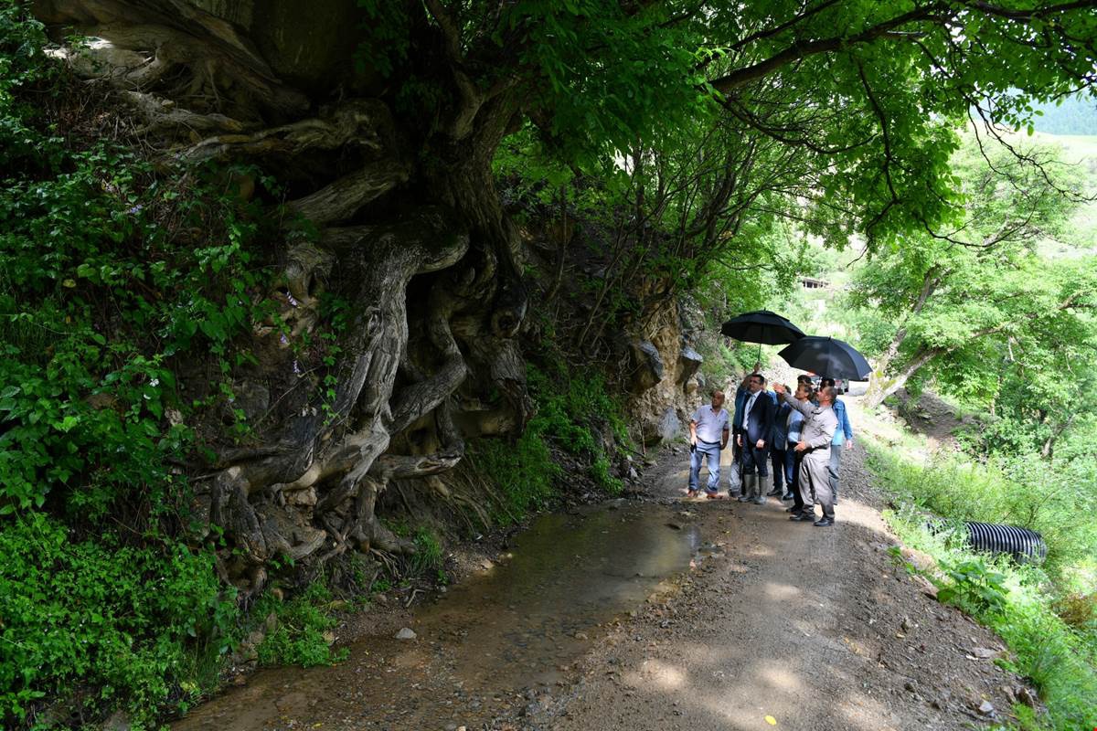 Vali Memiş Torul’da 8