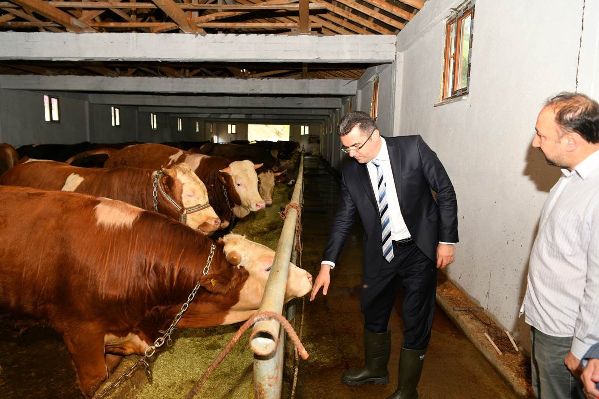 Vali Memiş Torul’da 14