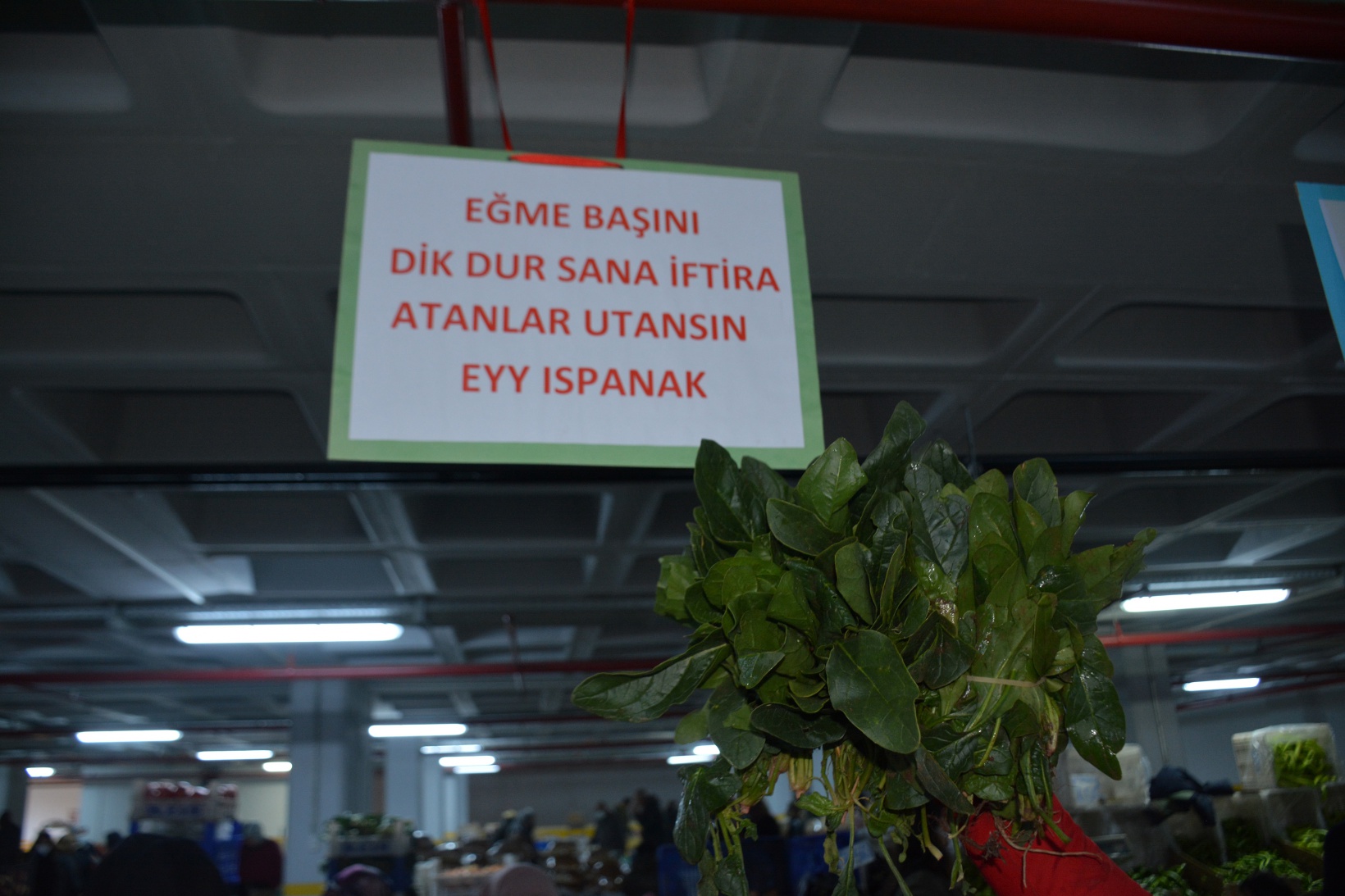 Ispanak satışları düşen esnaf çareyi afiş asmakta buldu  10